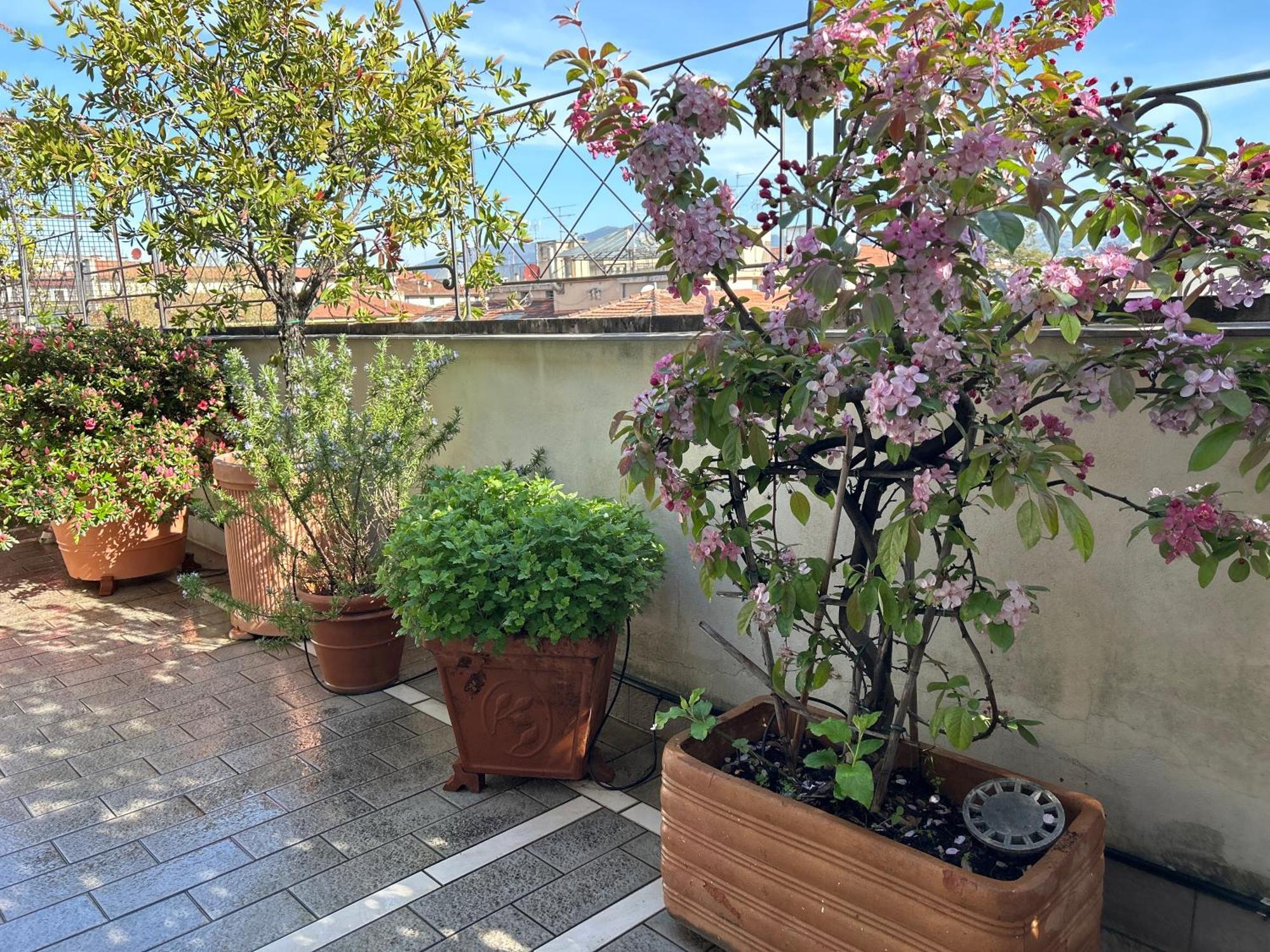 Cherubini Apartment Florenz